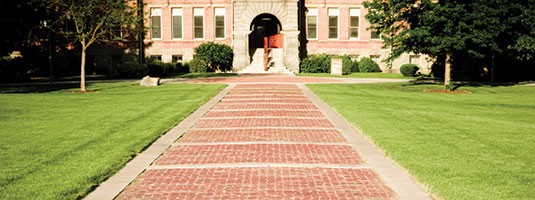 学校的草地公共区域